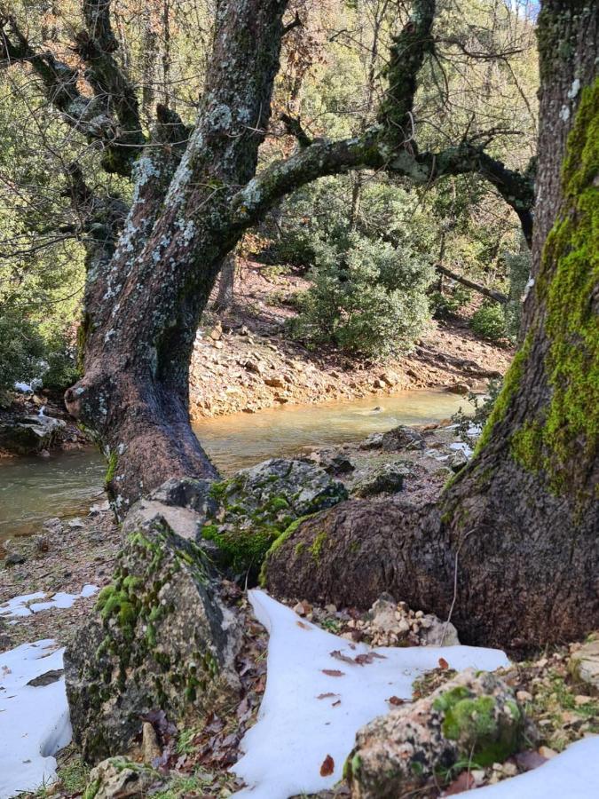 La Pommeraie D'Ifrane Ifrane  Zewnętrze zdjęcie