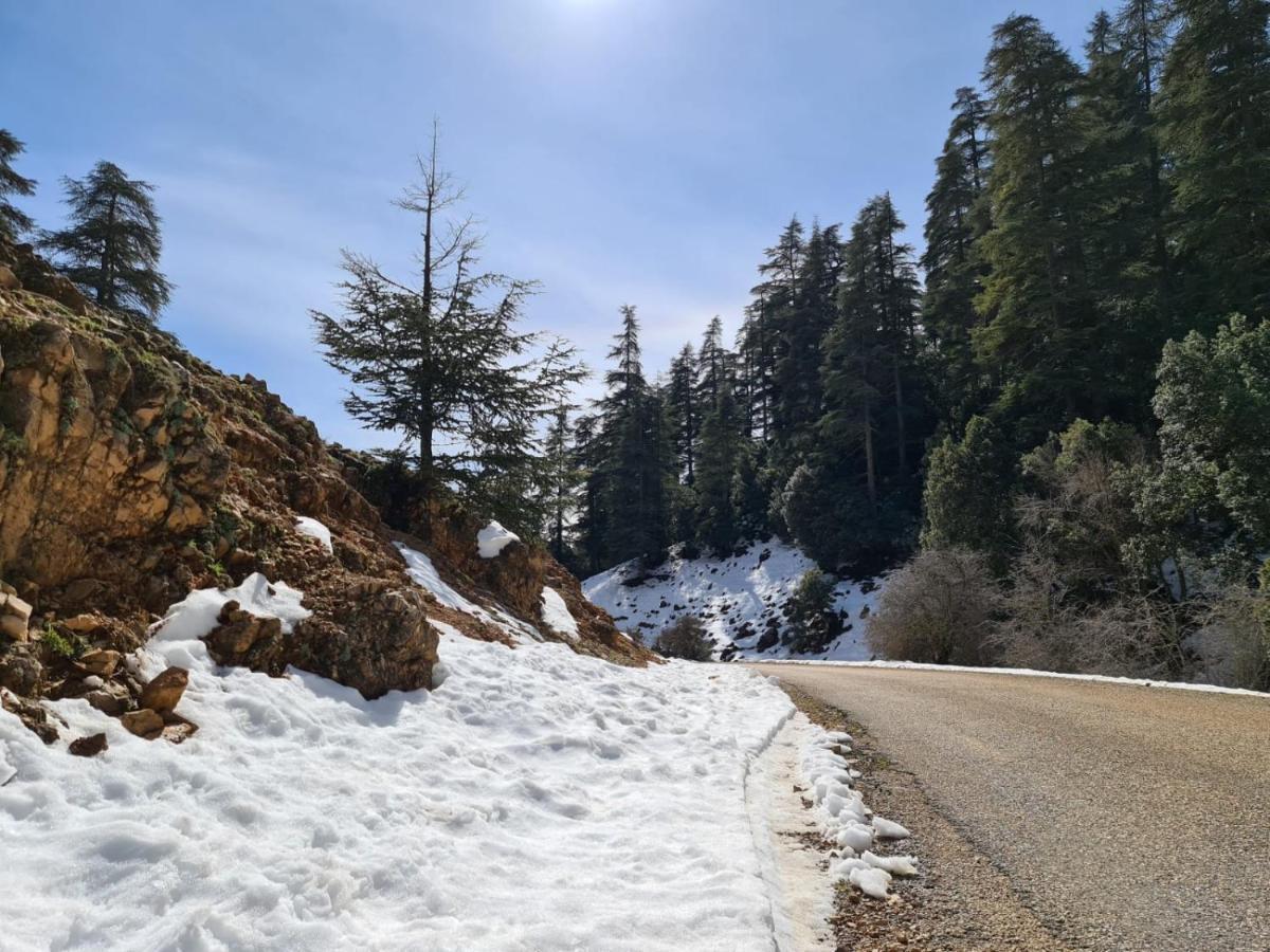 La Pommeraie D'Ifrane Ifrane  Zewnętrze zdjęcie