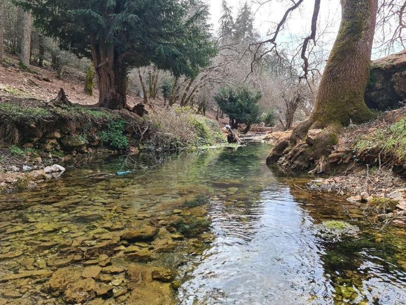 La Pommeraie D'Ifrane Ifrane  Zewnętrze zdjęcie