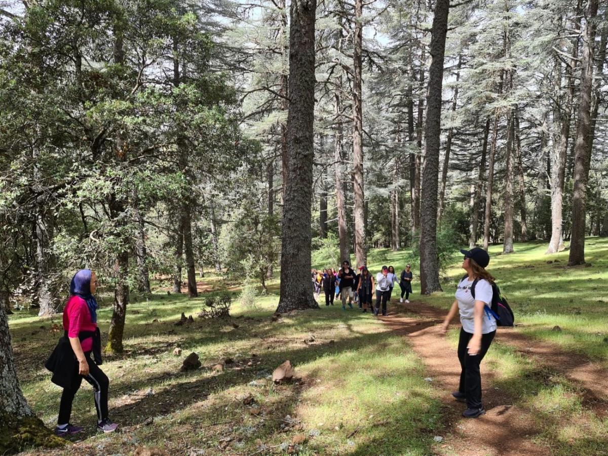 La Pommeraie D'Ifrane Ifrane  Zewnętrze zdjęcie