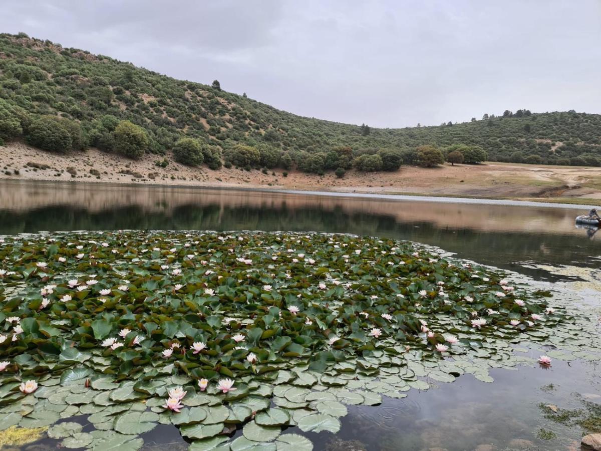 La Pommeraie D'Ifrane Ifrane  Zewnętrze zdjęcie