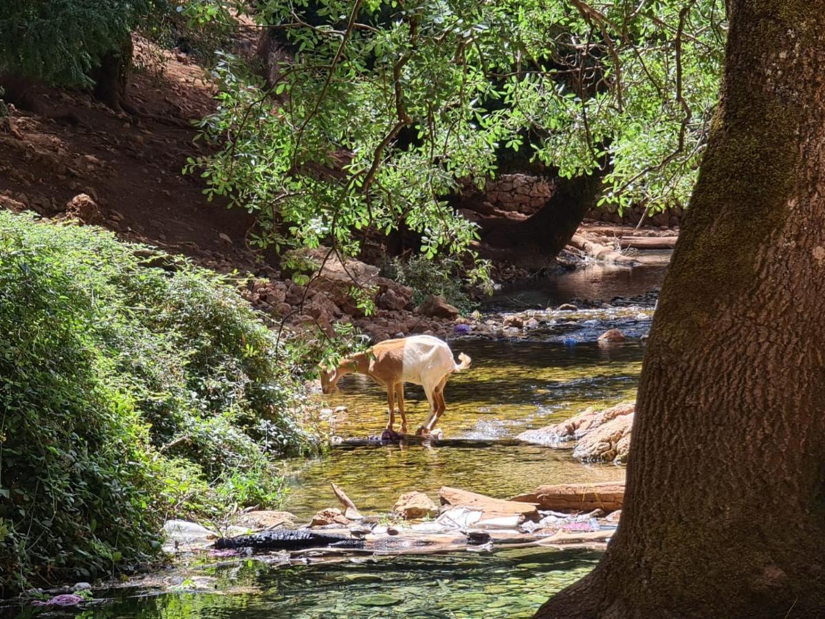 La Pommeraie D'Ifrane Ifrane  Zewnętrze zdjęcie